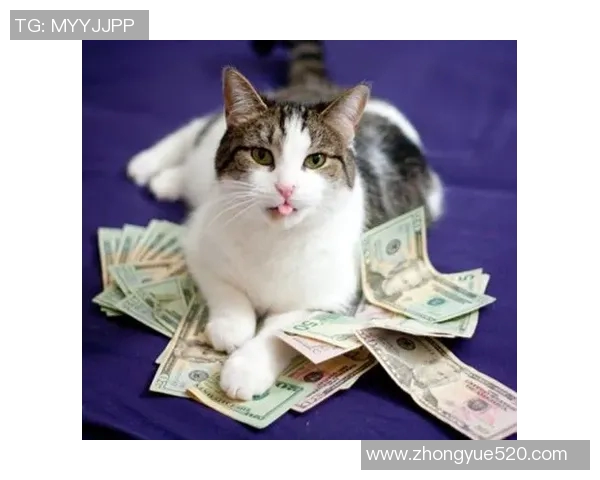 足球明星的搞笑外号大揭秘让你捧腹大笑的球场趣事与传奇故事