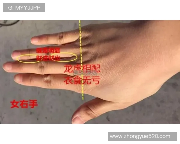 揭秘足球明星男性手相特征与命运解析助你了解他们的成功之道